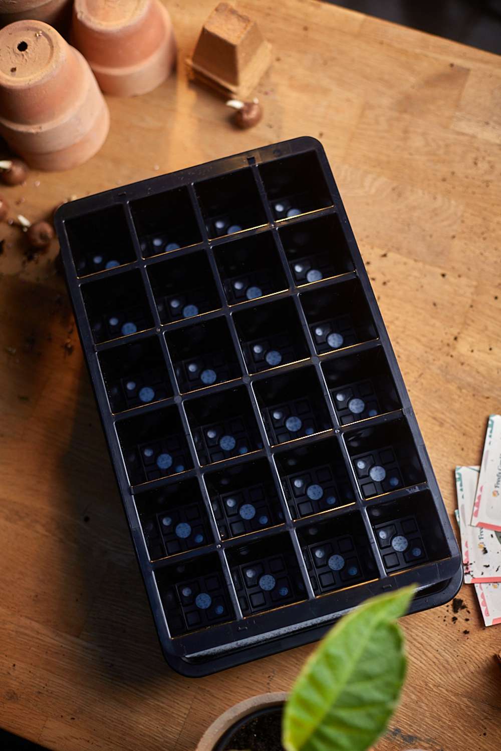 Minidrivhus med selvvanding m. 24 celler